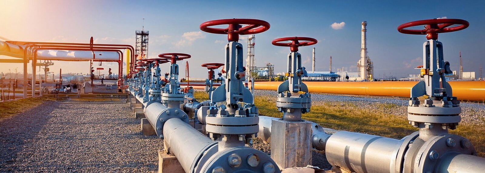 industrial valve manufacturing company in India